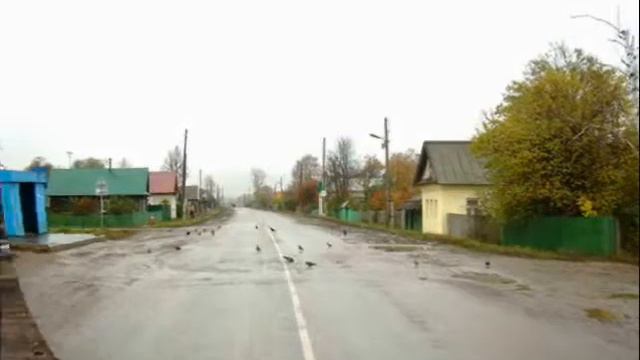 "Марисола" почеламут