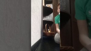 История/история про спорт. 2 названия (любое).#спорт