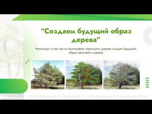 Миникурс "Создаем будущий образ дерева"
