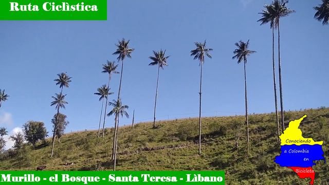 RUTA CICLISTICA MURILLO BOSQUE SANTA TERESA LIBANO смотреть онлайн