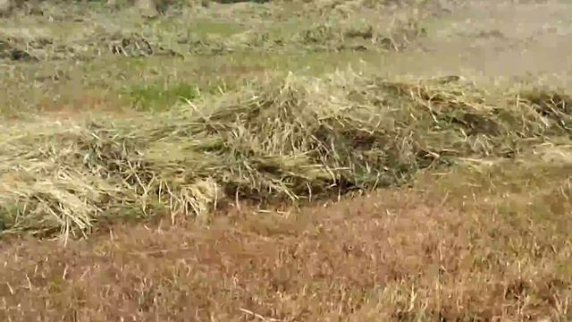 Сгребание сена роторными граблями смотреть онлайн