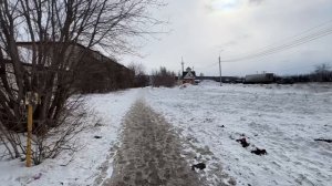 Алиса ночью творила чудеса!