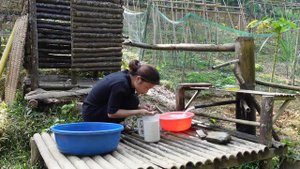 Bamboo tube BBQ: How to make bamboo tube rice delicious? Build a farm, Live with nature. #121