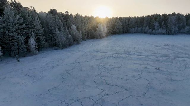 Акколь - Зимний лес - Рассвет