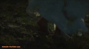 Алекса Астер & Нурлан Шулаков  Не забывай  New 2018