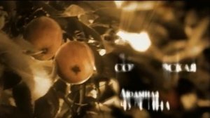 Ольга Филиппова - Райские яблочки