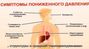 Полиэтилен. Теплопроводность.