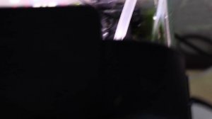 Креветочник без подмены воды. Аквариум для креветок