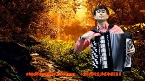 Инструментальная музыка. Аккордеон/Баян