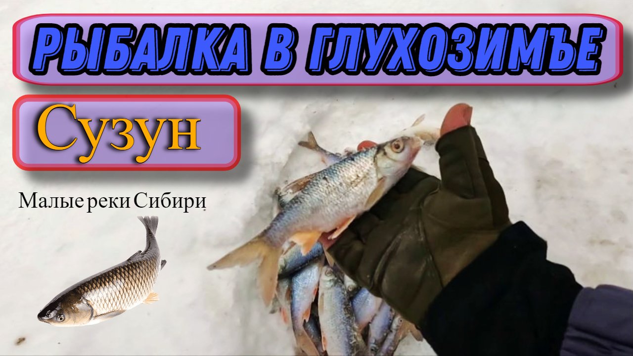 Рыбалка (Сузун) 16 января 2023г. Глухозимье , слом погоды.