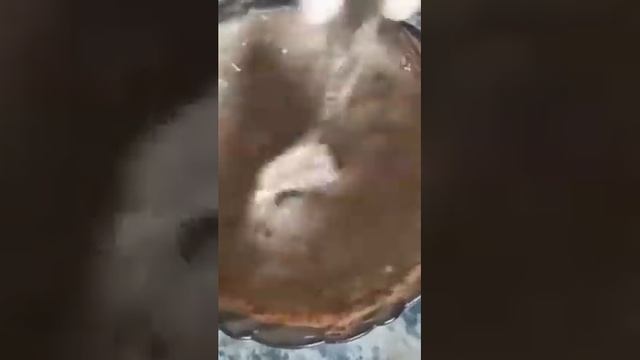 Кекс в микроволновке за 3 минуты смотреть онлайн