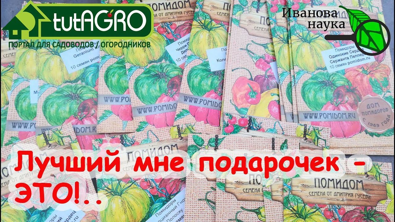 ЗАДОХНУЛСЯ ОТ ВОСТОРГА! РАЗБИРАЮ ПОСЫЛКУ ОТ ПОМИДОМА! Столько интересных сортов, семян!