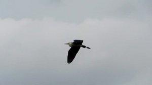 Майская рыбалка на Аге