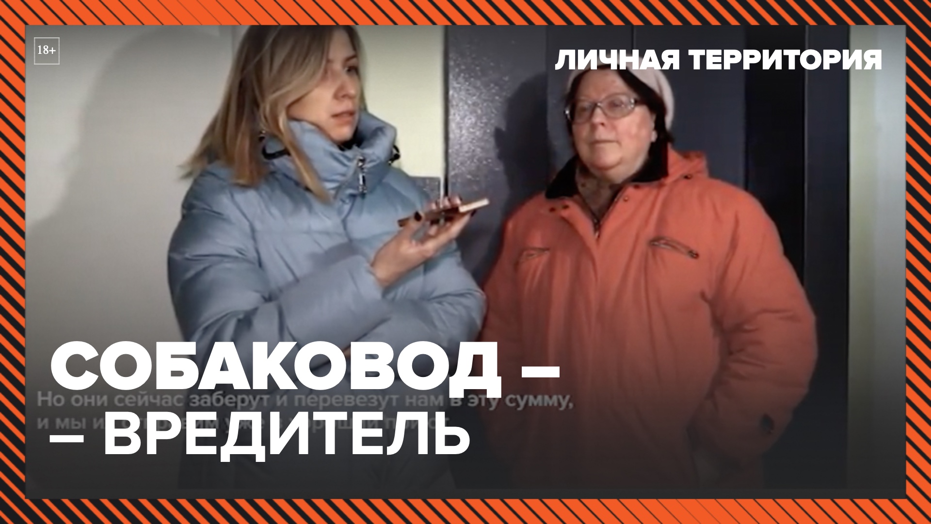 Личная территория: собаковод-вредитель – Москва 24 | Контент