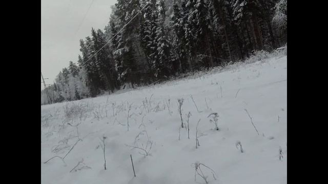 Охота на лося, погуляли смотреть онлайн