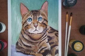 Котик. Гуашь.