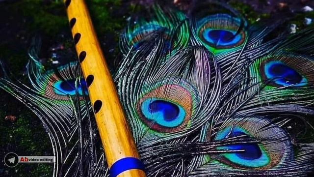 flute ringtone malayalam whatsapp status video 💝💝💝 смотреть онлайн