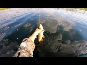 Поймал красавца Голавля! Рыбалка на ультралайт.