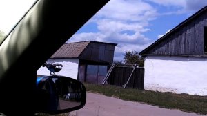 Птичка стучится в окно машины