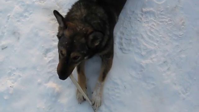 Зимняя рыбалка Козьмодемьянск смотреть онлайн