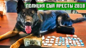 ПОЛИЦИЯ США: задержание драгдилера, подкидной-коп и немного ФБР.