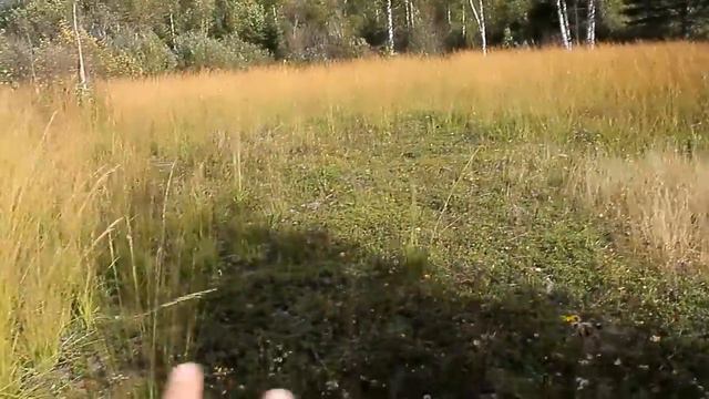 По тропам прошлого. Коп на старинном месте.
