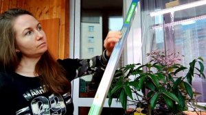 Подсветка для цитрусовых зимой. Фитолампа для цитрусовых.