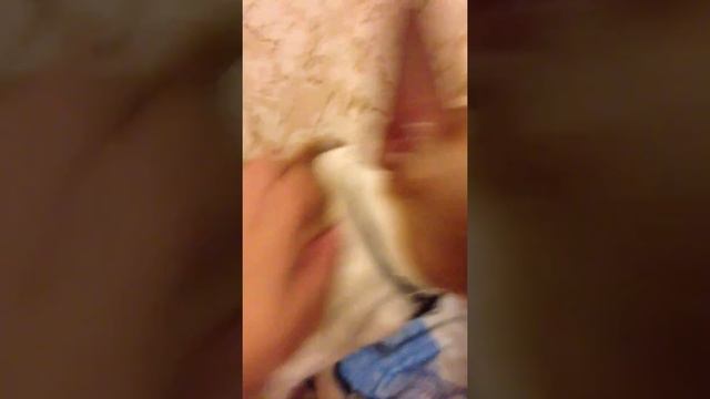 Мой щенок пищит!!!!!! смотреть онлайн