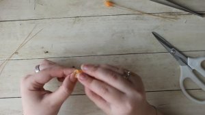 Крокус. Обзор мастер класса