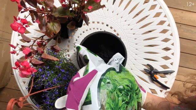 Композиции в кашпо для сада смотреть онлайн