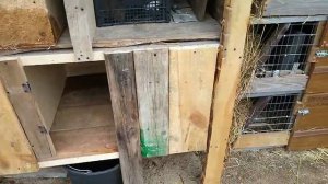 Как сделать клетку для кроликов///крольчата///размеры///