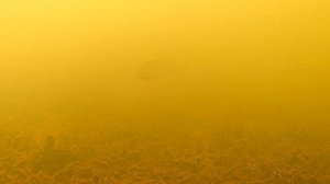 ОПУСТИЛ КАМЕРУ ПОД ВОДУ И ОБАЛДЕЛ!!! Куча щуки в речушке-переплюйке. Подводная съёмка.