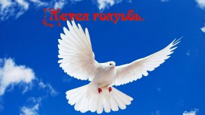 Летел голубь.