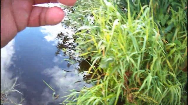 Мормышинг с Black Adder BA602XUL-S-20 рост 1,80 тест 0.5-1.8 солид. смотреть онлайн