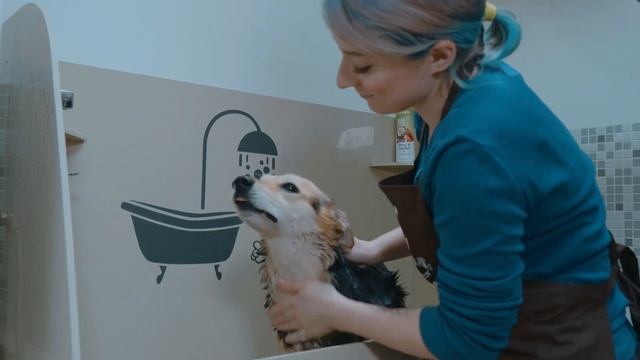 Груминг ванна смотреть онлайн