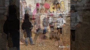 Приют "Кот-Бегемот" и кото-кафе "Кот-Обормот" г.Самара