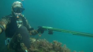 Подводный мир Чёрного моря 2021. Гидрокостюм Beuchat Rocksea Competition Rus 7мм