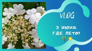 VLOG. 3 июня. Где лето?
