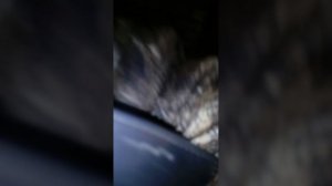 Самодельная автономка жидкостная для подогрева антифриза двс!работает  на газу и на соляре!