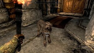 Skyrim Интересные моменты и Секреты игры, которые вы упустили