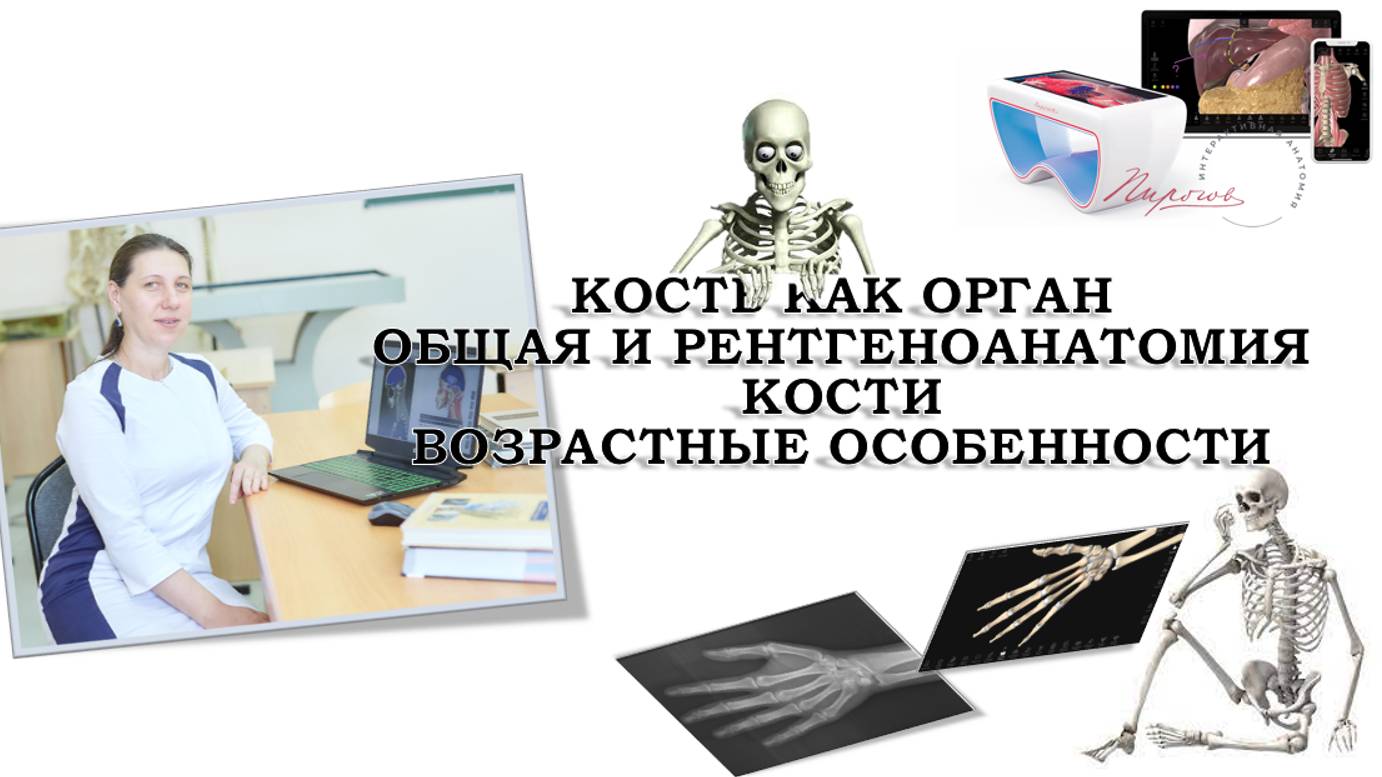 ВИДЕОУРОК - КОСТЬ КАК ОРГАН: классификация и строение, рентгенанатомия, возрастные особенности