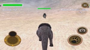 #Triceratops Survival Simulator -Wild Foot Games Adventure - iTunes/Android