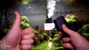 Помпы для аквариума компактные и МОЩНЫЕ - EHEIM CompactON