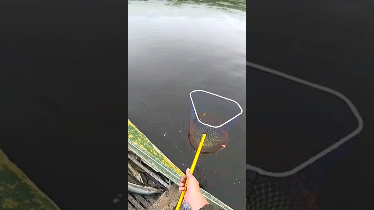 Вываживание щуки #щука #рыбалка смотреть онлайн