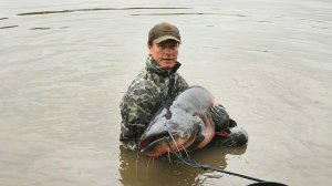 На что ловить сома осенью? Лучшие наживки на крупного и мелкого сома осенью...