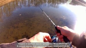 Щука & Стримеры