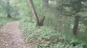 Мы Вернулись! Усадьба в Середниково. То самое место,где снимали сериал "Закрытая школа"