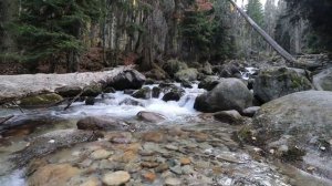 Video for meditation. The element of water. Видео для медитации. Стихия воды.