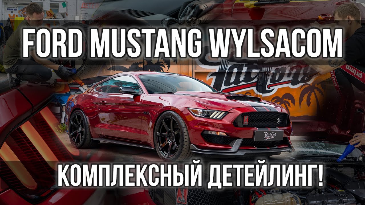 Комплексный детейлинг на Ford Mustang GT Wylsacom!