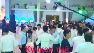 Кучкак туйида#кучкак #конибодом